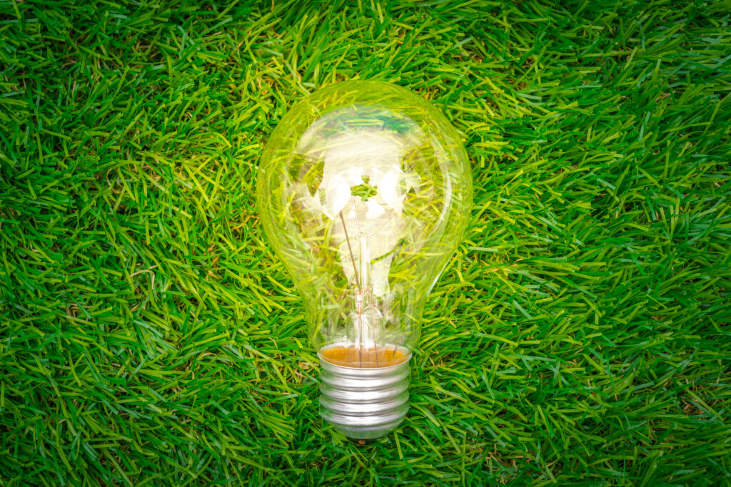 Ampoule sur herbe durabilité